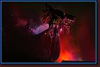 - Disneyland 06/15/07 - By Britt Dietz - Fantasmic! - 