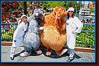 - Disneyland 06/15/07 - By Britt Dietz -  - 