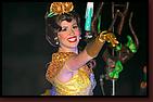 - Disneyland 11/16/07 - By Britt Dietz - Fantasmic! - 