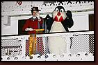 - Disneyland 11/16/07 - By Britt Dietz - Fantasmic! - 