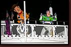 - Disneyland 11/16/07 - By Britt Dietz - Fantasmic! - 